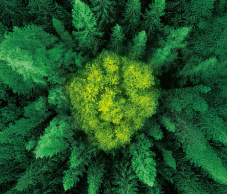 Genesis Centurion Insurance Plan