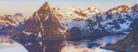 Whole-in-One Prime 3 - Essence