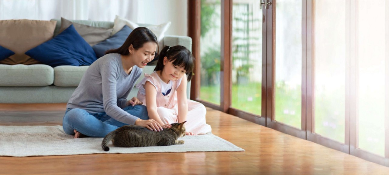 Manulife General and Travel Insurance Plans